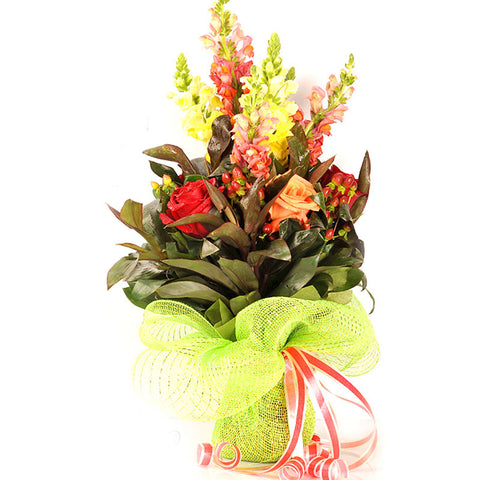 TROPHY OF ROSES