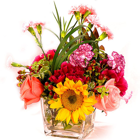 TROPHY OF ROSES