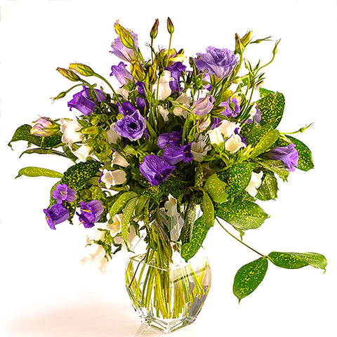 TROPHY OF ROSES