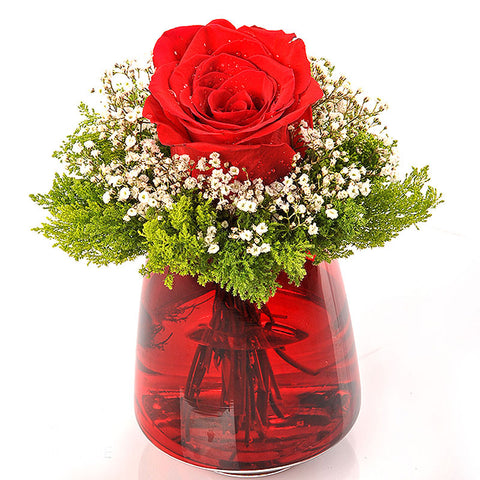 TROPHY OF ROSES