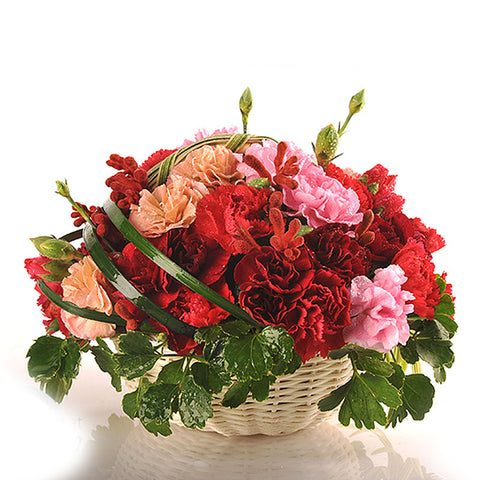 TROPHY OF ROSES