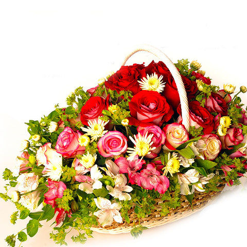 TROPHY OF ROSES