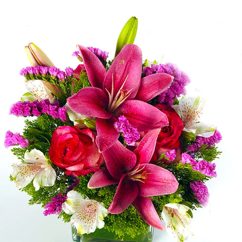 TROPHY OF ROSES