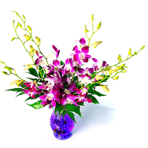 TROPHY OF ROSES